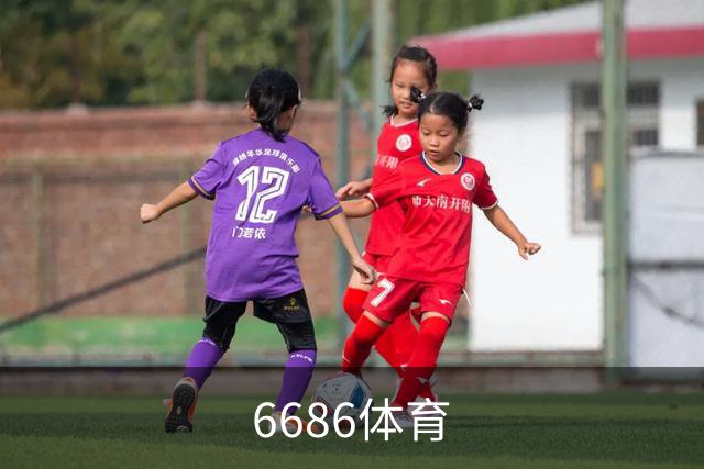 6686体育公司介绍图